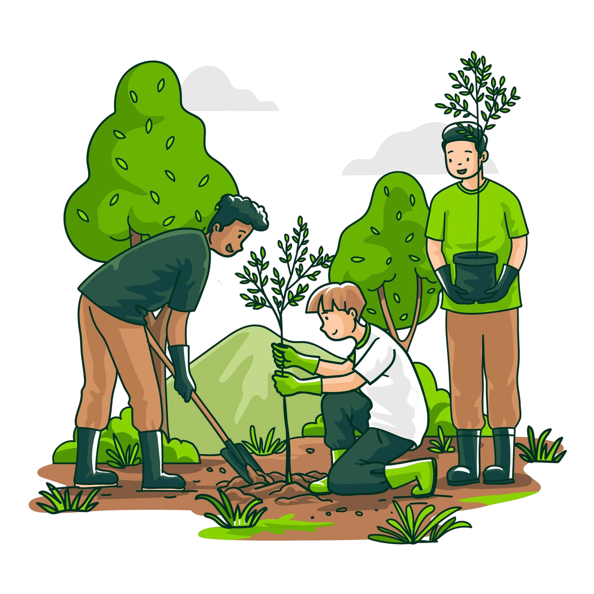 Reforestation illustration