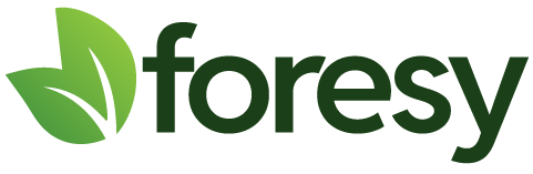 Foresy