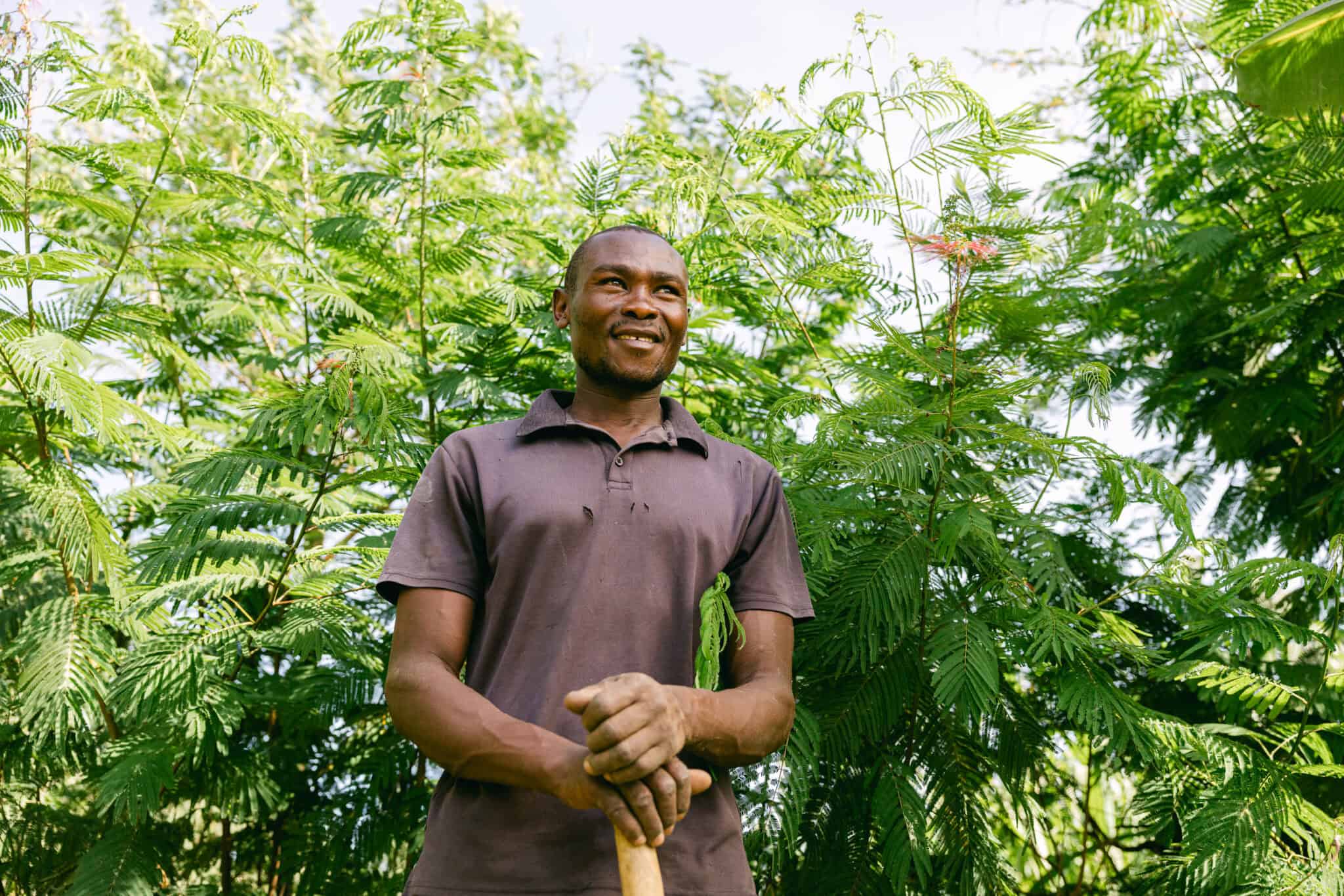 Forest Gardens - Mount Elgon - Image 1